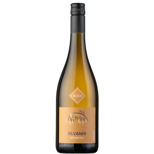 Silvaner Höhnstedt trocken BIO